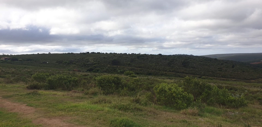 8 Bedroom Property for Sale in Uitenhage Rural Eastern Cape